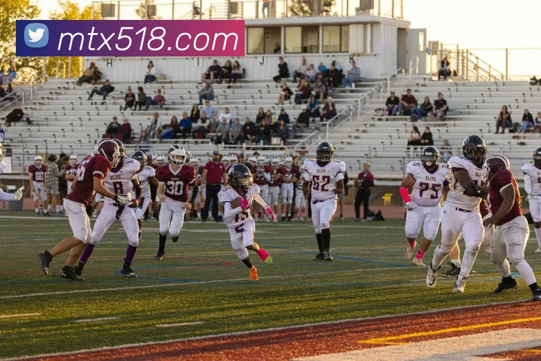 满天星娱乐城官网平台生态图