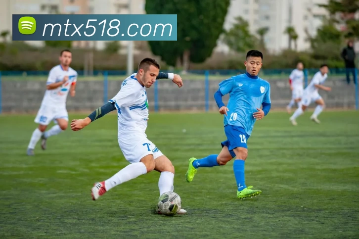 满天星娱乐城官网APP 封面图